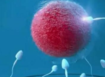 咸阳私立生殖中心top3，第一名先开展试管技术