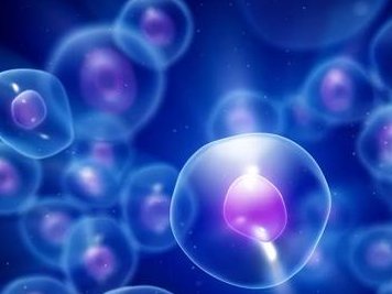 amh低能做试管婴儿吗？一次试管成功率高不高