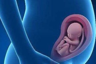 试管什么情况下用拮抗剂方案？武汉地区有哪些私立的机构可以做试管技术？